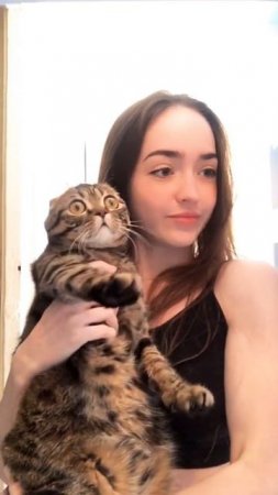 Сыру хочешь или котлету?
