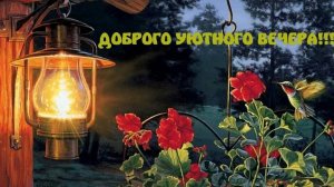 Открытка.Уютного летнего вечера. Romantic🩷🩷✨✨✨🌖