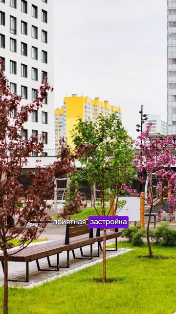 Совсем другое Мурино #новостройкиспб