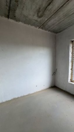 Береза Хутор