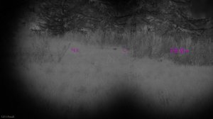 Way of the Hunter 1.27 . DLS - Night Hunting! на конец-то завезли ПНВ