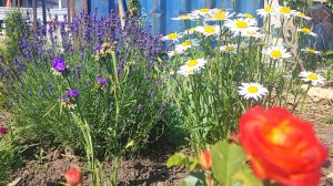 уборка в доме и на участке🤗