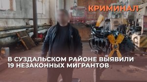 В Суздальском районе выявили 19 незаконных мигрантов