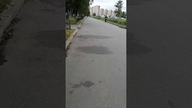 Проспект Пятилеток