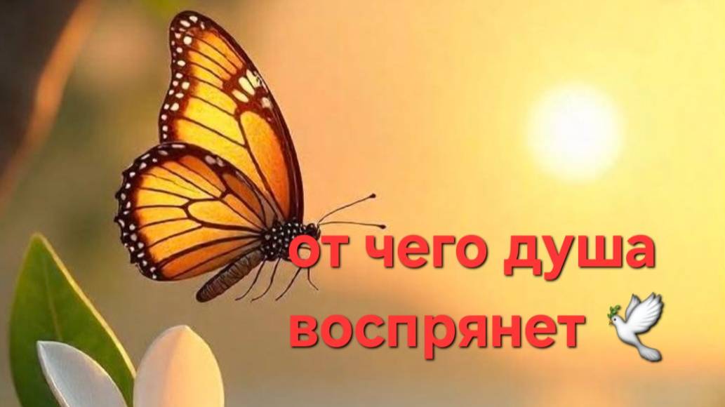 От чего душа воспрянет