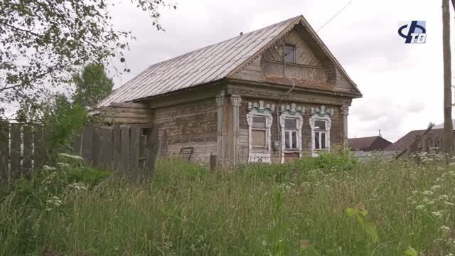 Самодеятельный собачий приют беспокоит жителей деревни Верино