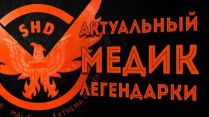 Актуальные сборка на Медика для легендарок Аккуратная Сборка 2025 The Division 2