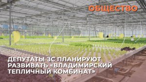 Депутаты ЗС планируют развивать «Владимирский тепличный комбинат»