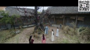 Дворцы и сады династий Мин и Цин Лотосовый терем Идеальная пара Не тот паланкин тот жених История дв