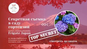 Секретная съемка в саду гортензий в храме Южного Киото с Сабиной 🌸 | Живая Япония