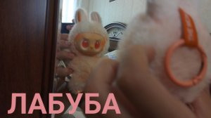Лабуба