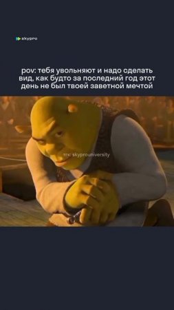 Какая жалость #работа