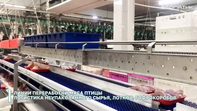 Беоматик_конвейеры_конвейерные ленты_модульные цепи_производство в Перми