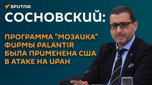 Сосновский: программа "Мозаика" фирмы Palantir была применена США в атаке на Иран