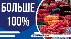 В Сочи в этом году ожидается рост урожая субтропических фруктов и ягод