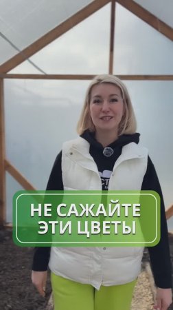 Не сажайте эти цветы, если не хотите эффектный цветник 🌸