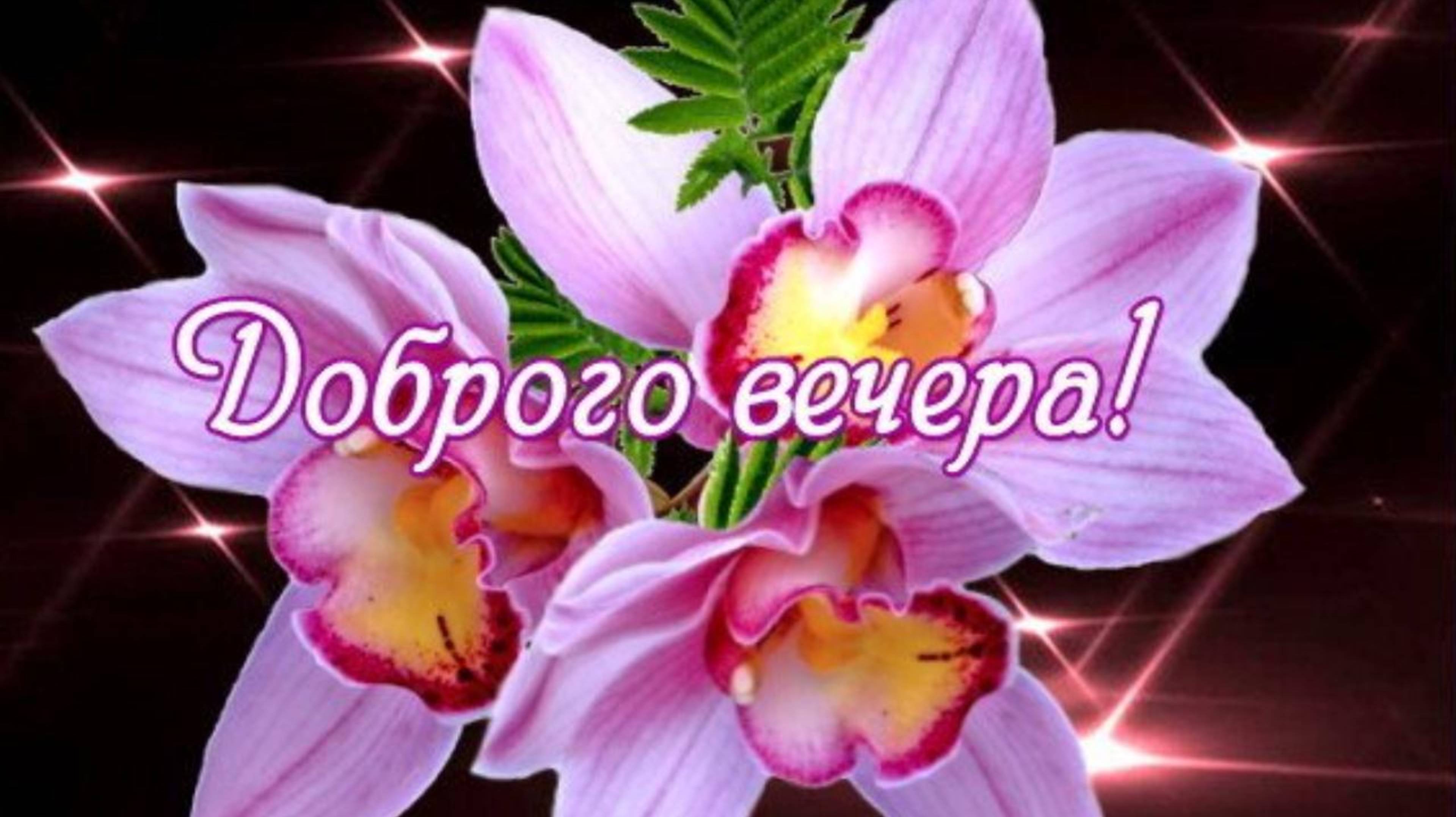 ДОБРОГО ВЕЧЕРА