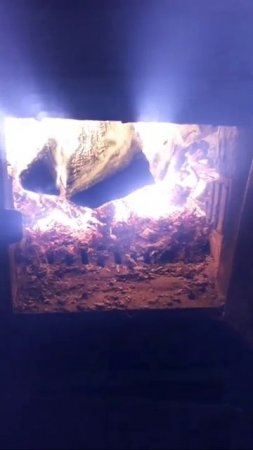 До бесконечности можно смотреть. /из архива/