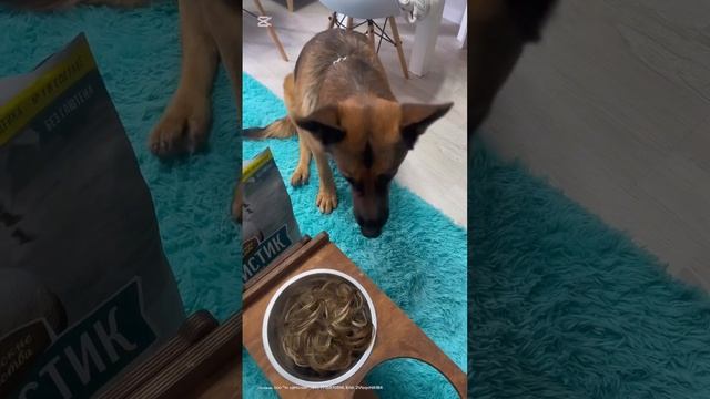 Карточка видео