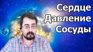 Сердце, давление, сосуды (16.04.21г.)