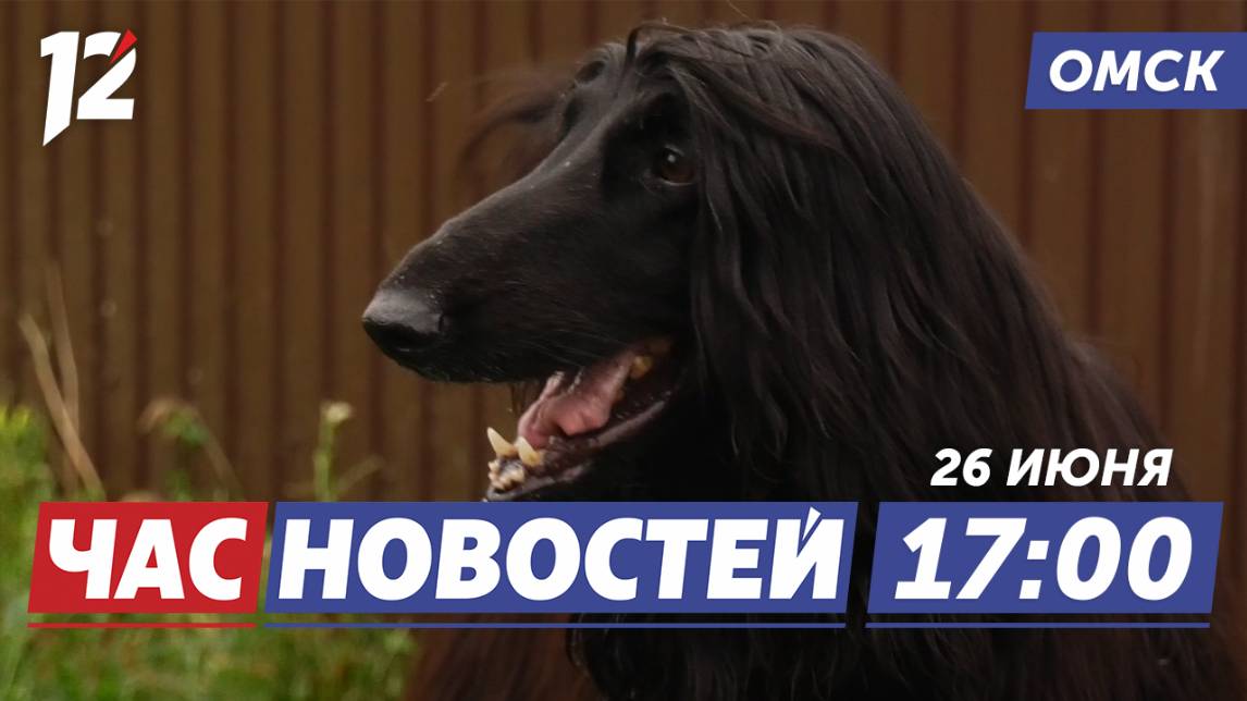 Гостиница для собак / Праздник для теннисистов / Новые станции связи. Новости Омска