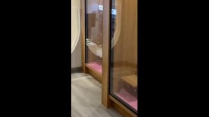 Смешные котики - часть 24