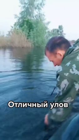 Поймали сома!