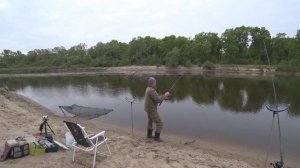 Антоха. РЫБА ПРЕТ по ПРИПЯТИ из УКРАИНЫ! ВЫВОЖУ САНЯМИ.