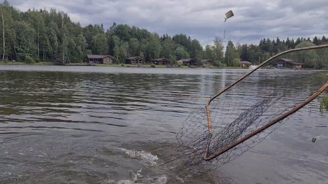 Поимка и сход карпа смотреть онлайн