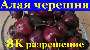 Песня Алая черешня Видео 8K разрешение