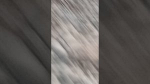 утка в море))).mp4