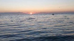 Рассвет в Одессе.  Лагуна.  Черное море. Морской бриз. Звуки природы.