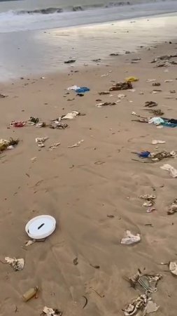 Курортная прибрежная полоса.