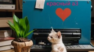КОТЕНОК ЧТО ОН ЗАДУМАЛ?