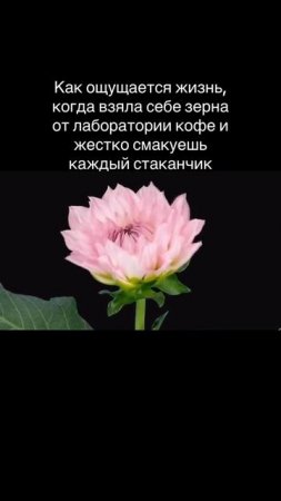 Без лаборатории кофе жизнь не та! (Ищи арт в описании)