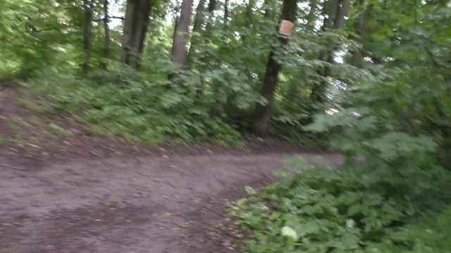 Прогулка пасмурным днём по лесу 26.06.2025.