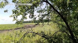 В лес по грибы 24.06.25.Грибы есть!Тихая охота.