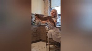 Утро в Москве. Находилась устала, снова нужен массаж...