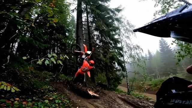Леха намотался на дерево🤯