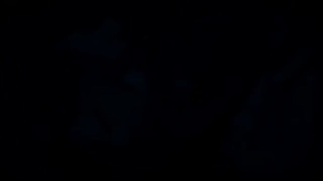 Дело Чед Энцеля
