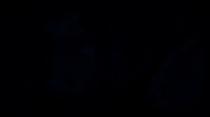 Дело Чед Энцеля