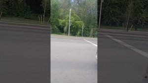 Пермь/Пригородный маршрут 767/Симаз 2258(межгородный)/Верхние Муллы-Автовокзал Пермь/