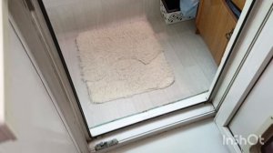 дождь идет уже сутки 😃🤦♀мои цветочки и котики! прогулка по Красноярску #котики #глоксинии