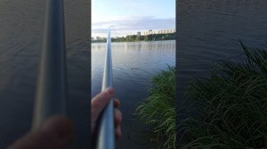 1000020928.mp4