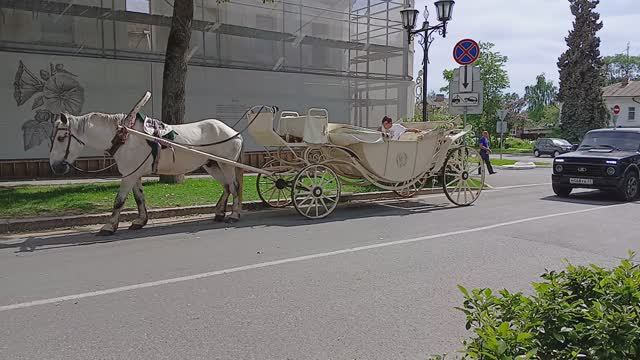 СУЗДАЛЬСКОЕ ТАКСИ