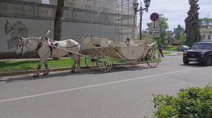 СУЗДАЛЬСКОЕ ТАКСИ