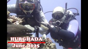 Hurghada. June-2025. Diving