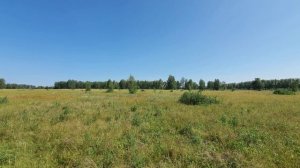 20250611_144618 (online-video-cutter.com)