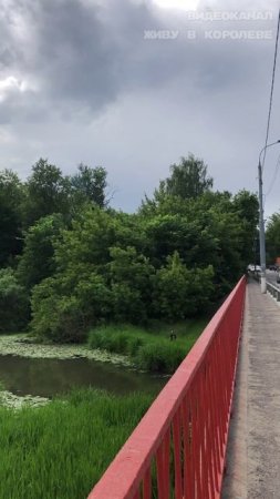 Наш "пляж" с Шапкиного моста.