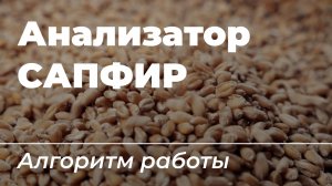 Алгоритм работы анализатора САПФИР
